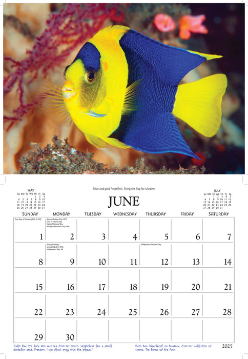 2025 Great Barrier Reef Wall Calendar