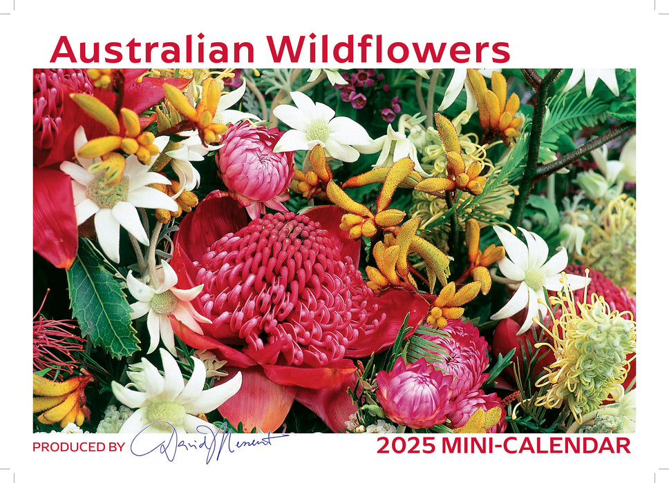 2025 Australian Wildflowers Mini Pocket Calendar