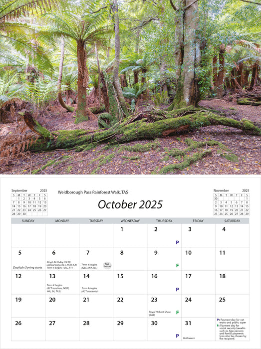 2025 Australian Inspirations Desk Easel Calendar