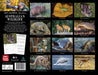 2025 Australian Wildlife by Steve Parish Wall Calendar by  Browntrout Publishers Australia from Calendar Club