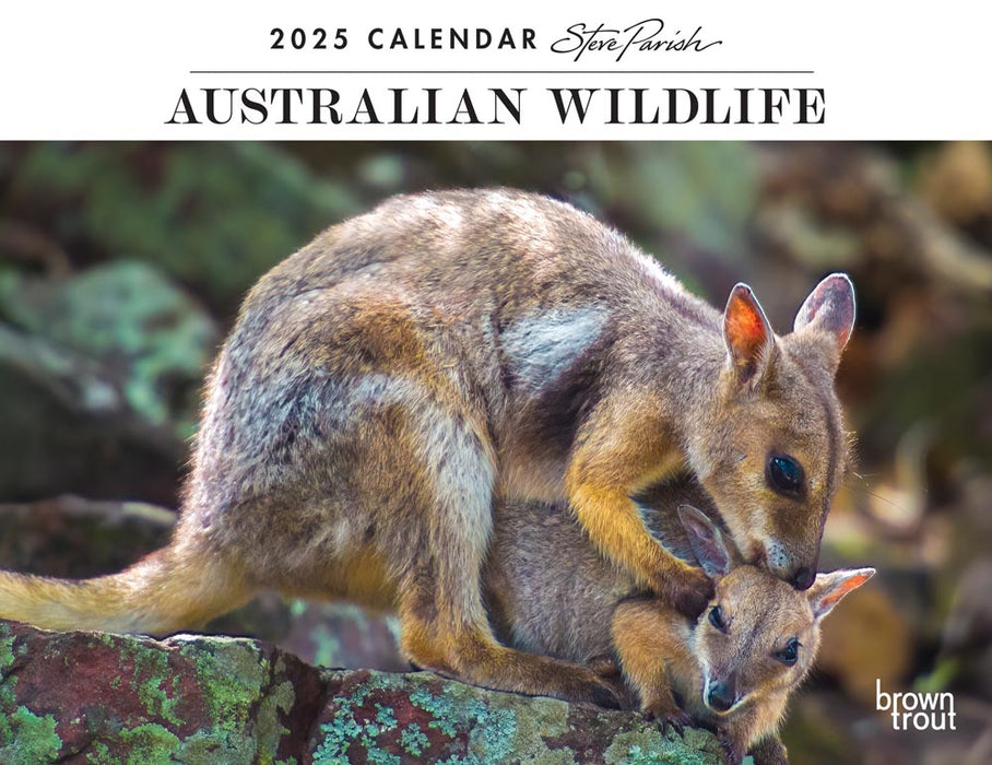 2025 Australian Wildlife by Steve Parish Wall Calendar by  Browntrout Publishers Australia from Calendar Club