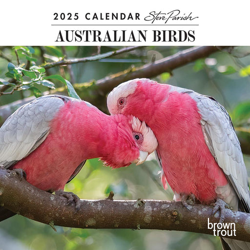 2025 Australian Birds by Steve Parish Mini Wall Calendar by  Browntrout Publishers Australia from Calendar Club