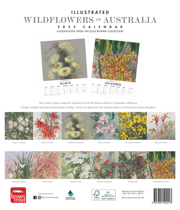 2025 Illustrated Wildflowers of Australia Deluxe Wall Calendar by  Browntrout Publishers Australia from Calendar Club