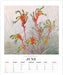 2025 Illustrated Wildflowers of Australia Deluxe Wall Calendar by  Browntrout Publishers Australia from Calendar Club