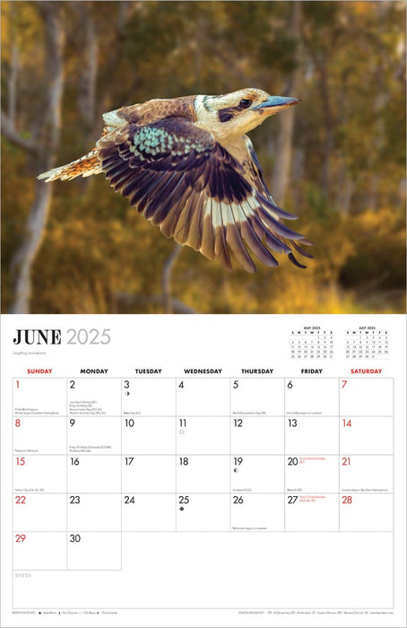 2025 Australian Birds by Steve Parish Wall Calendar by  Browntrout Publishers Australia from Calendar Club