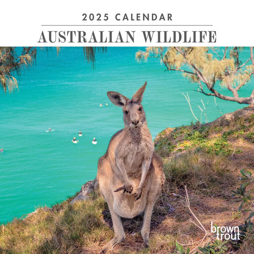 2025 Australian Wildlife Mini Wall Calendar by  Browntrout Publishers Australia from Calendar Club