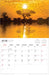 2025 Queensland by Steve Parish Wall Calendar by  Browntrout Publishers Australia from Calendar Club