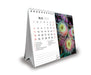 2025 Australian Wildflowers Double View Desk Easel Calendar by  Browntrout Publishers Australia from Calendar Club