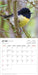 2025 New Zealand Birds Mini Wall Calendar by  Browntrout Publishers Australia from Calendar Club