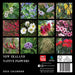 2025 New Zealand Native Flowers Mini Wall Calendar by  Browntrout Publishers Australia from Calendar Club