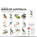 Birds of Australia J Boot 2026 Square Wall Calendar