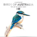 Birds of Australia J Boot 2026 Square Wall Calendar