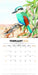 Illustrated Birds of Australia 2026 Square Wall Calendar