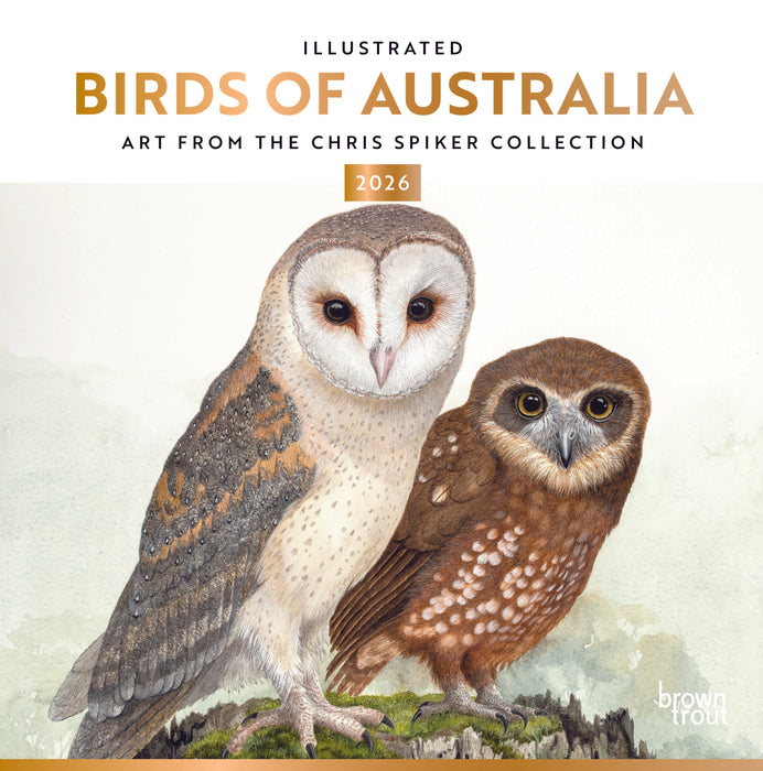 Illustrated Birds of Australia 2026 Square Wall Calendar