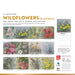 Illustrated Wildflowers of Australia 2026 Square Wall Calendar