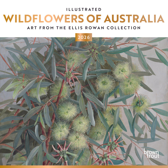 Illustrated Wildflowers of Australia 2026 Square Wall Calendar