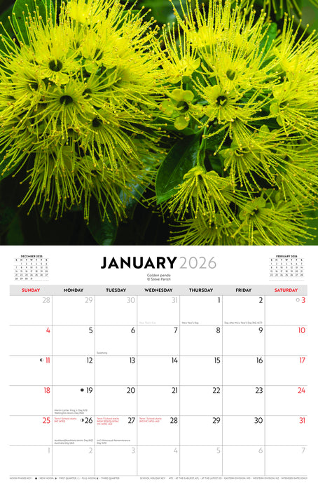 Australian Wildflowers S Parish 2026 A4 Wall Calendar