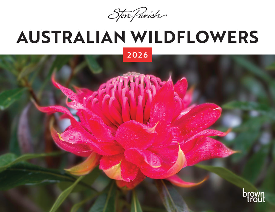 Australian Wildflowers S Parish 2026 A4 Wall Calendar