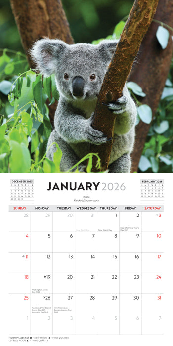 Australian Wildlife 2026 Mini Wall Calendar