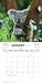 Australian Wildlife 2026 Mini Wall Calendar