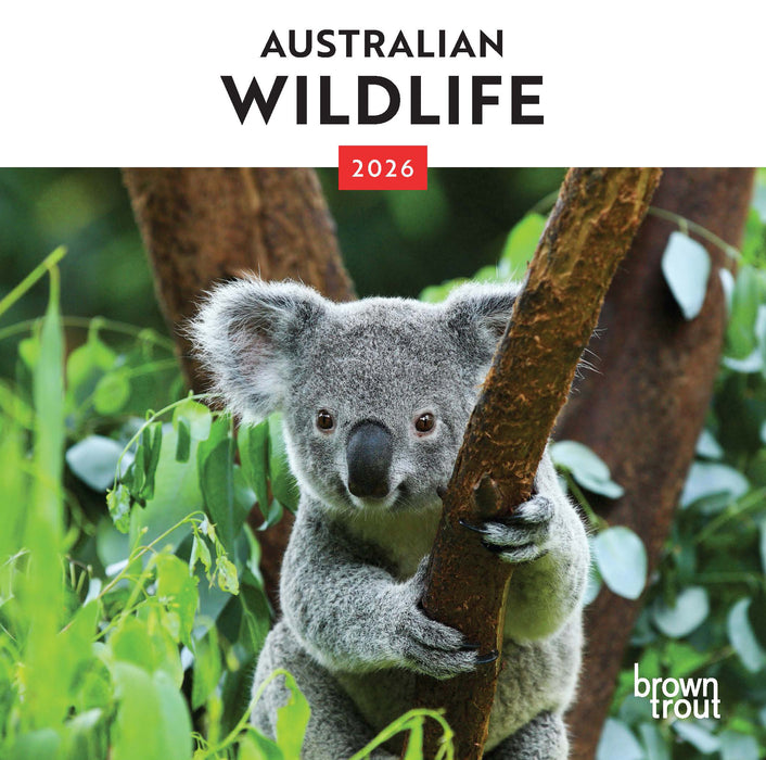 Australian Wildlife 2026 Mini Wall Calendar