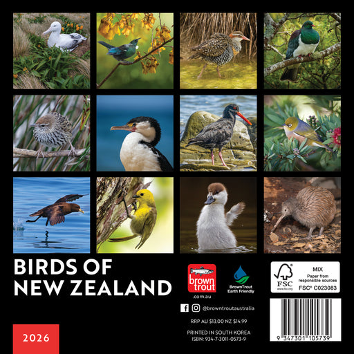 New Zealand Birds 2026 Mini Wall Calendar