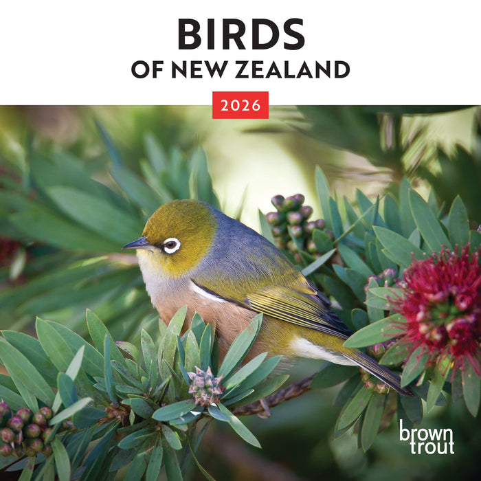 New Zealand Birds 2026 Mini Wall Calendar