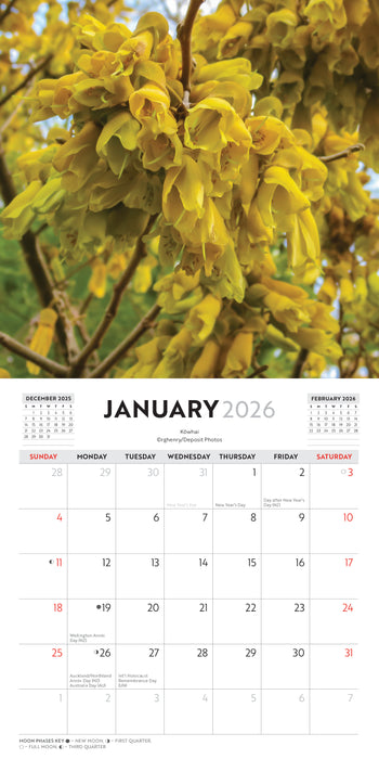 New Zealand Native Flowers 2026 Mini Wall Calendar