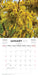 New Zealand Native Flowers 2026 Mini Wall Calendar