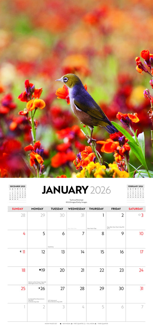 New Zealand Wildlife 2026 Square Wall Calendar