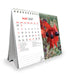 Australian Wildflowers 2027 Desk Easel