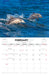 Australian Coastlines by Steve Parish 2027 Wall Calendar