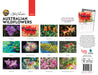 Australian Wildflowers by Steve Parish 2027 Wall Calendar