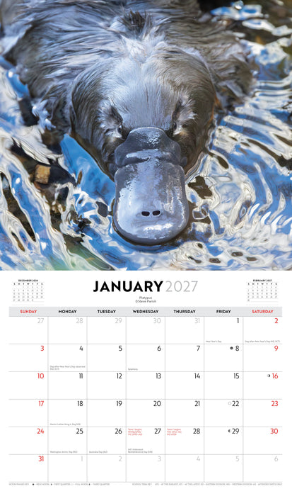 Australian Wildlife by Steve Parish 2027 Wall Calendar