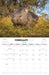 Australian Wildlife by Steve Parish 2027 Wall Calendar