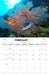 Queensland by Steve Parish 2027 Wall Calendar