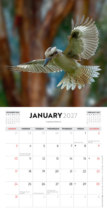 Australian Birds by Steve Parish 2027 Mini Wall Calendar