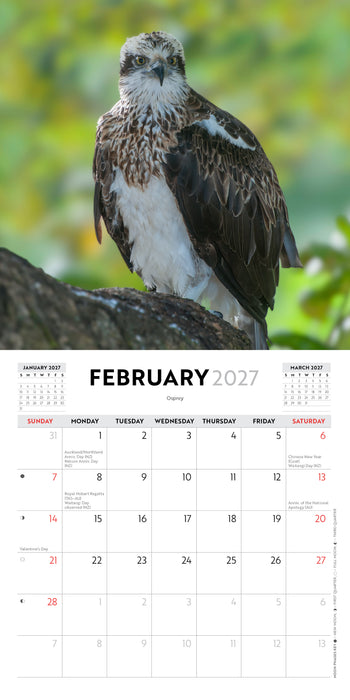 Australian Birds by Steve Parish 2027 Mini Wall Calendar