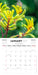 Australian Wildflowers 2027 Mini Wall Calendar