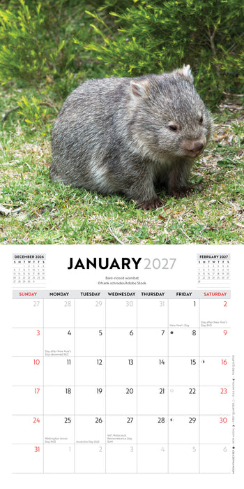 Australian Wildlife 2027 Mini Wall Calendar
