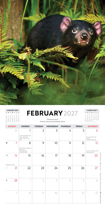 Australian Wildlife 2027 Mini Wall Calendar