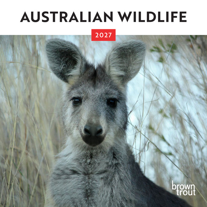 Australian Wildlife 2027 Mini Wall Calendar