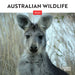 Australian Wildlife 2027 Mini Wall Calendar