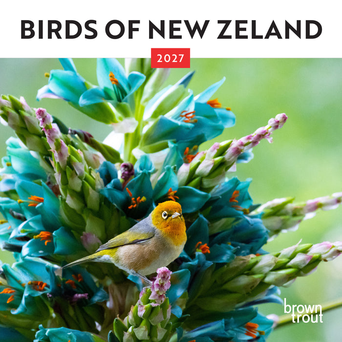 New Zealand Birds 2027 Mini Wall Calendar