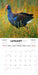 New Zealand Birds 2027 Mini Wall Calendar