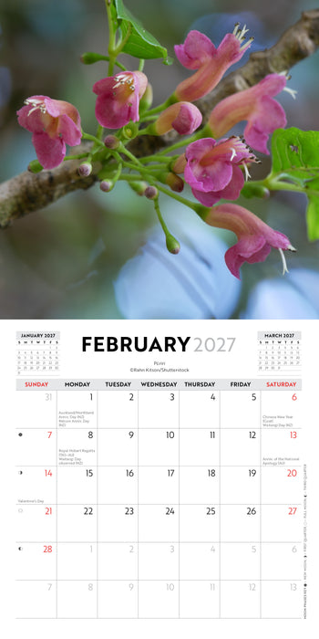 New Zealand Native Flowers 2027 Mini Wall Calendar