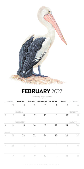 Birds of Australia Jeremy Boot 2027 Square Wall Calendar