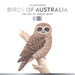 Birds of Australia Jeremy Boot 2027 Square Wall Calendar