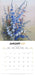 Illustrated Wildflowers of Australia 2027 Square Wall Calendar