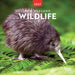 New Zealand Wildlife 2027 Square Wall Calendar